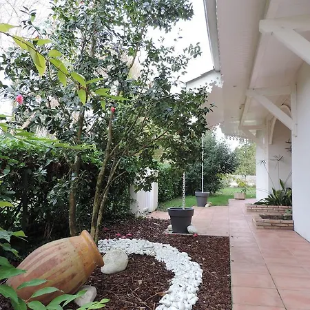 Chambres D'Hotes Villa La Louisiane Bed & Breakfast 4*